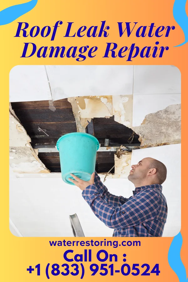 Roof Leak Water Damage Repair in Lead Hill, AR