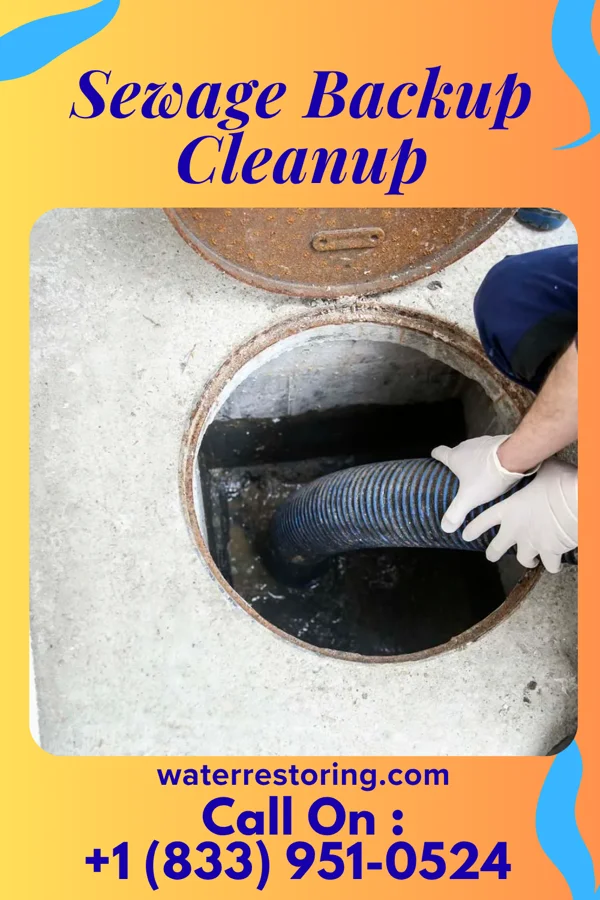 Sewage Backup Cleanup in Lead Hill, AR